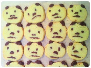 Cherie Kelly's Penguin, Lion and Panda Icebox Cookies