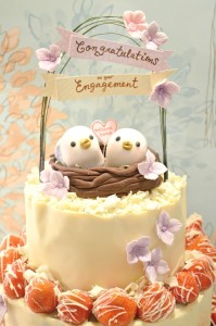 Cherie Kelly's Love Birds Strawberry and Chocolate Mousse Engagement Cake